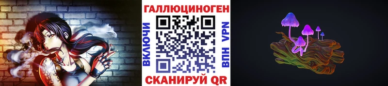 это телеграм  закладки  KRAKEN как зайти  Электрогорск  Псилоцибиновые грибы GOLDEN TEACHER 